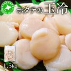 ホタテ 貝柱 1.5kg
