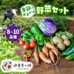 野菜セット 8~10品種