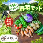 野菜セット 12品種