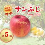 サンふじ 約5kg