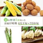658 夏の野菜セット とうもろこし じゃがいも