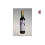 fu.... налог голубика вино * стандартный .. 1 шт. [1652414] Tokyo Metropolitan area маленький flat город 