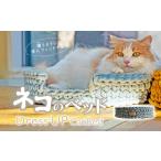 猫のベッド Dress UP Cat Bed
