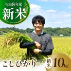 龍ケ崎のコシヒカリ 10kg