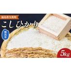 ショッピングふるさと納税 無洗米 ふるさと納税 令和7年産〈無洗米〉 福島県矢吹町の美味しいこしひかり 5kg コシヒカリ コメ 米 F6U-398 福島県矢吹町
