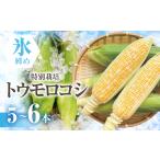 氷締めとうもろこし バイカラー 5本-6本
