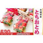 661 産いちご とちおとめ 520g