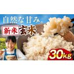 米 玄米 30kg