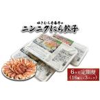 ゆきむら壱番亭のニンニクにら餃子3パック 48個入り