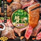 沖縄ブランド牛を堪能 贅沢お肉定期便 牛肉