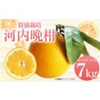 ふるさと納税 【先行�