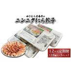 ゆきむら壱番亭のニンニクにら餃子3パック 48個入り