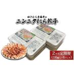 ゆきむら壱番亭のニンニクにら餃子6パック 96個入り