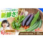 旬野菜セット7-10品目 五島列島産 5kg未満