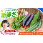 旬野菜セット7-10品目 五島列島産 5kg未満