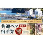 一泊二食付き共通ペア宿泊券 チケット 宿泊券