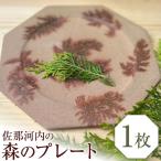 佐那河内の森のプレート 1枚