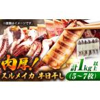 スルメイカ 半日干し 1kg以上