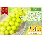 ふるさと納税 【先行予約／数量限定100】訳ありシャインマスカット 1.4kg以上（2〜3房入り）（2026年9月上旬〜発送） 京都府京丹後市