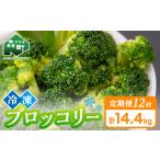 fu.... налог [12 месяцев установленный срок рейс ] небольшое количество . разрезанный . брокколи рефрижератор 1.2kg×12 раз Hokkaido лес блок производство овощи гарнир .. данный удобный небольшое количество . разрезанный ... Hokkaido лес блок 