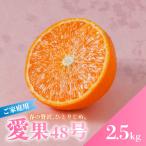 愛果48号 約2.5kg