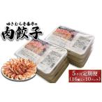 ゆきむら壱番亭の常陸牛餃子10パック 160個入り
