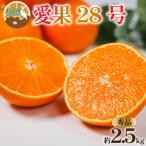愛果28号 約2.5kg