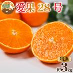 愛果28号 約3kg