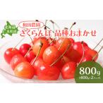 さくらんぼ 品種おまかせ 800g