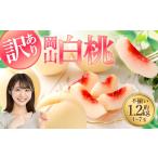 ショッピングふるさと納税 訳あり 不揃い ふるさと納税 【訳あり】岡山白桃（家庭用）1.2kg以上  サイズ不揃い【2026年6月下旬〜9月上旬まで順次発送予定】 もも 桃 モモ 4〜7玉 フルーツ.. 岡山県倉敷市