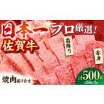 佐賀牛 焼肉 盛り合わせ 500g