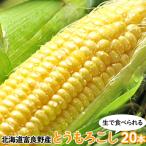 富良野産 生で食べられる とうもろこし 20本