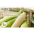 とうもろこし ピュアホワイト 生で食べれる