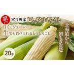 とうもろこし ピュアホワイト 訳あり 生で食べれる