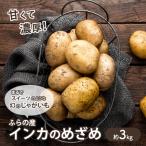 じゃがいも インカの目覚め 富良野産