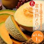 ※訳あり 富良野産 メロン 2Lサイズ 約1.6kg