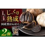 熟成 黒にんにく Lサイズ 玉 2個