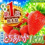 厳選とちあいか 6P 約1.5kg