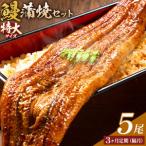 \特大サイズ 鰻蒲焼真空セット 5尾