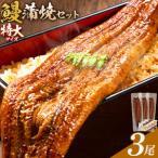 鰻 うなぎ 蒲焼き 3尾