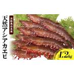 fu.... налог .. Awaji Island производство asi красный креветка 1.2kg натуральный .. Hyogo префектура .книга@ город 