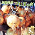 fu.... налог .... город. ... шар лук порей 5kg шар лук порей овощи .. овощи ... Awaji Island .книга@ город Hyogo префектура .книга@ город 
