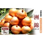 fu.... налог предварительный заказ прием 5kg новый шар лук порей оригинал бренд ..(.....) товарный знак регистрация товар шар лук порей tama лук-батун овощи .. овощи сезон. овощи Hyogo префектура ... Hyogo префектура .книга@ город 