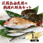 鮮魚セット 淡路島産 1kg
