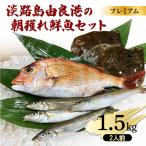 鮮魚セット 1.5kg
