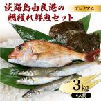 鮮魚セット 3kg