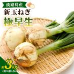 新玉ねぎ 極早生 3kg