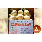 ショッピングふるさと納税 玉ねぎ ふるさと納税 淡路島産 新玉ねぎ 2kg うしろ農園 極早生 玉ねぎ 玉葱 タマネギ 甘い 野菜 兵庫県 洲本市 淡路島 兵庫県洲本市
