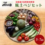 野菜 自然栽培 風土ベジ 5~7品 セット 淡路島産
