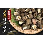 fu.... налог Awaji Island производство натуральный . Sazae 1kg Sazae морепродукты морепродукты морепродукты комплект Hyogo префектура .книга@ город Awaji Island Hyogo префектура .книга@ город 